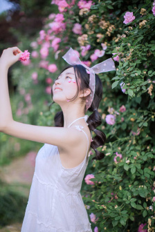 蓬莱间电视剧